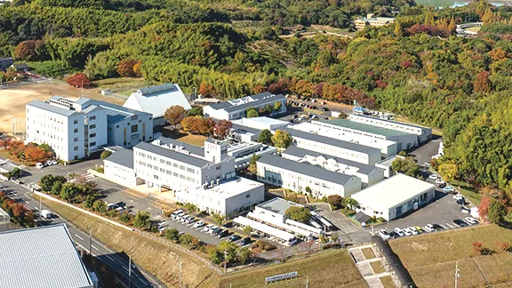校舎全体を上空から見た外観